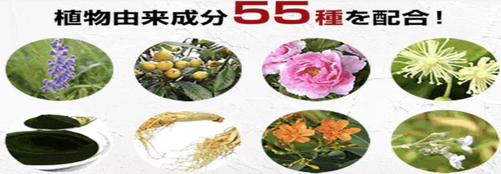 �`���b�v�A�b�v(CHAPUP)�ɂ���