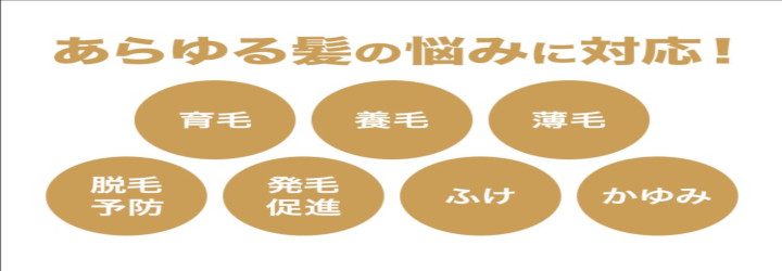 �`���b�v�A�b�v(CHAPUP)�ɂ���